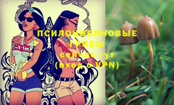 таблы Зерноград