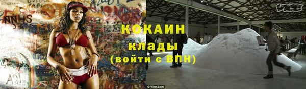 ПСИЛОЦИБИНОВЫЕ ГРИБЫ Зеленодольск