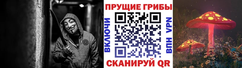 Галлюциногенные грибы прущие грибы Куровское