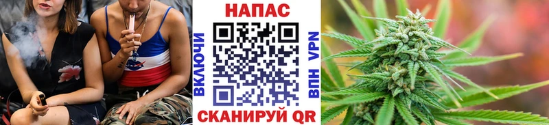 Шишки марихуана Ganja  цены   Куровское 